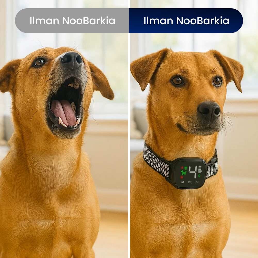 HappyScooper image
