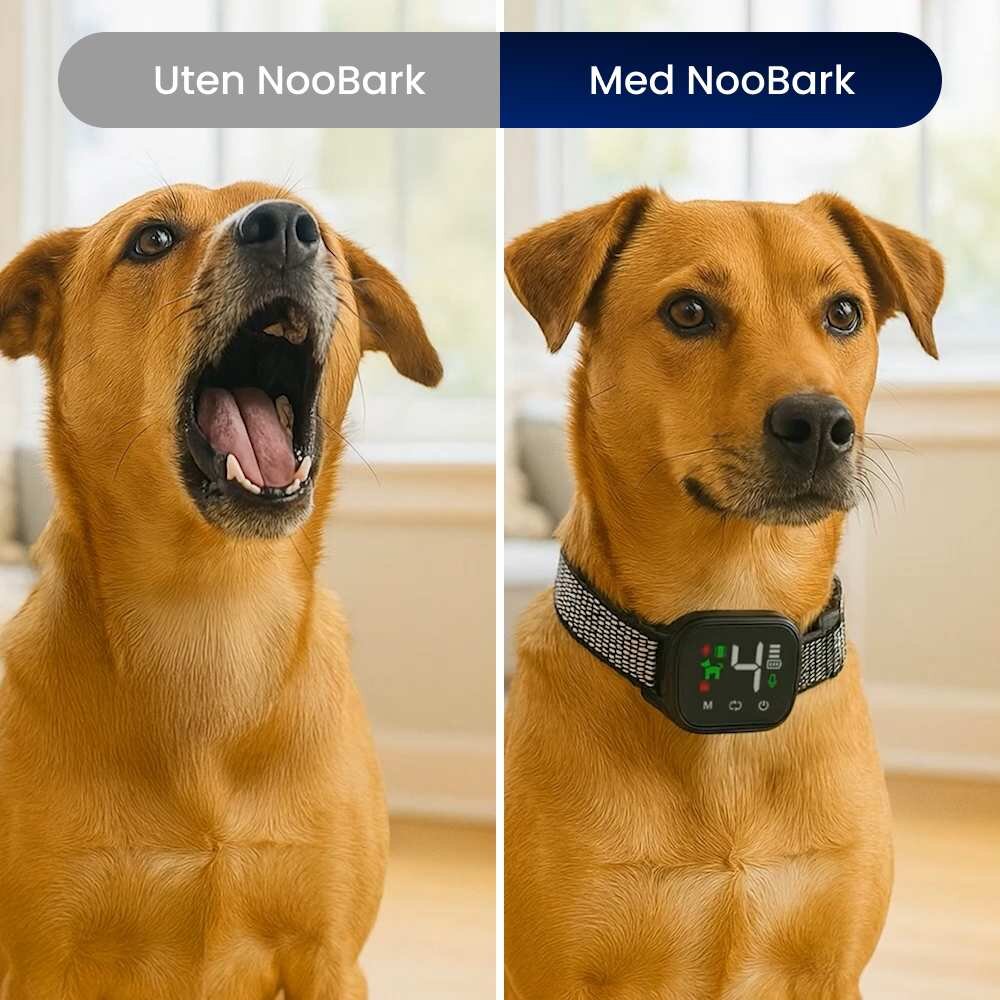 HappyScooper image