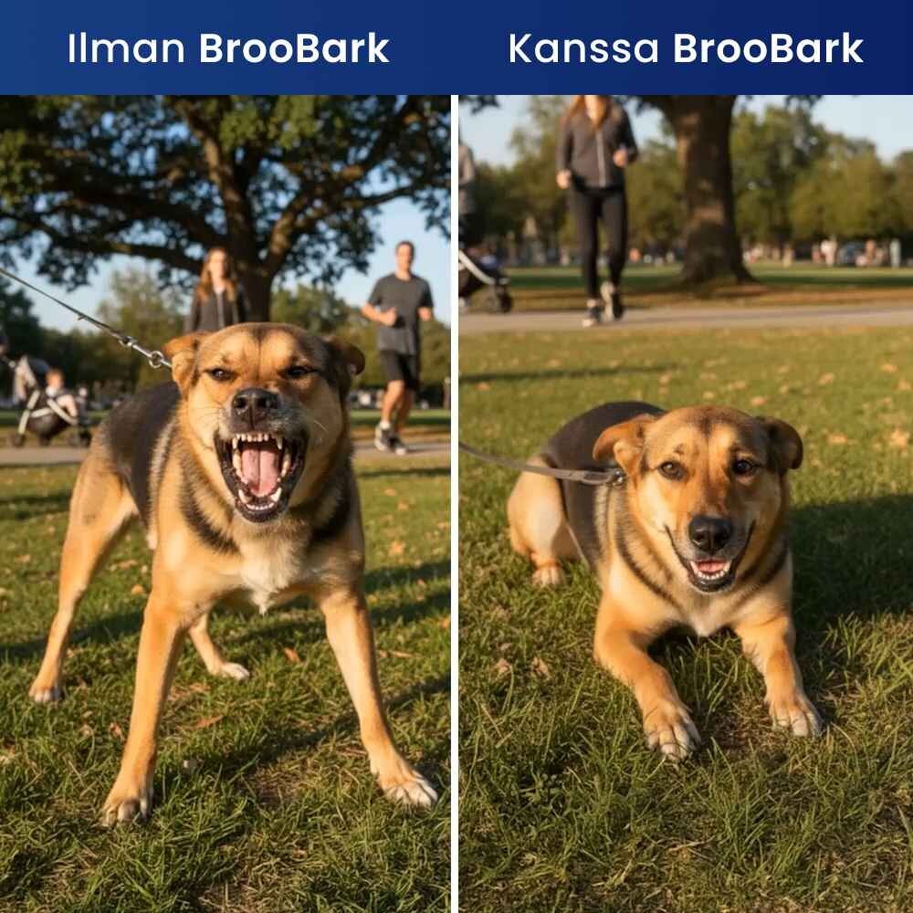 HappyScooper image