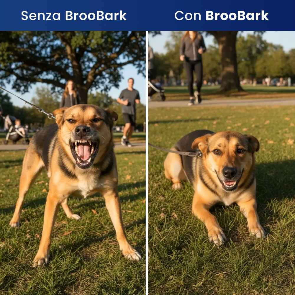 HappyScooper image