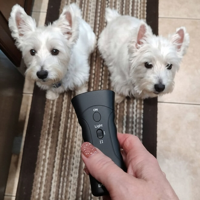 HappyScooper image